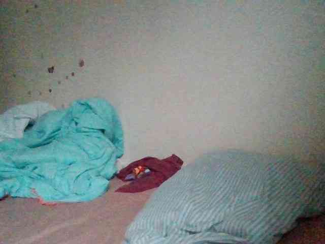 starlight1983 webcam