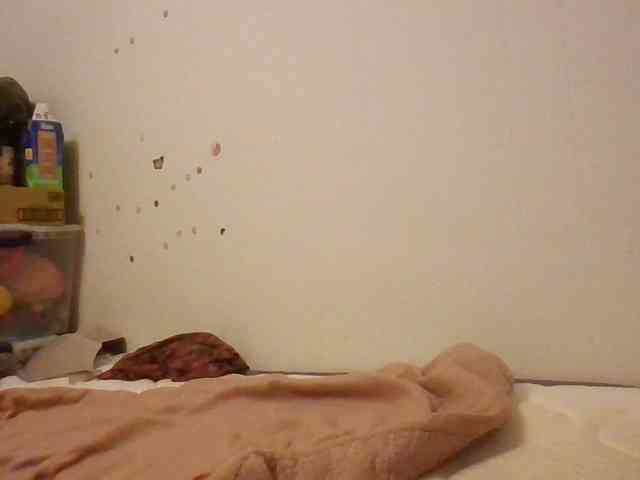 starlight1983 webcam
