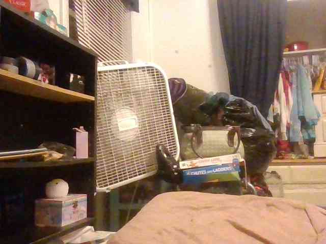 starlight1983 webcam