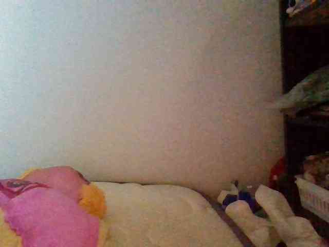 starlight1983 webcam