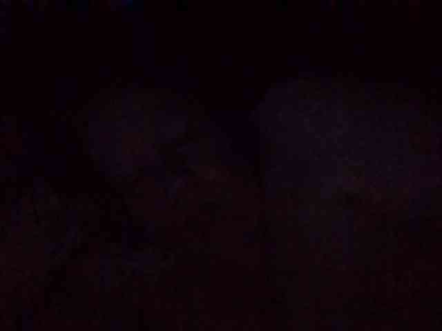 starlight1983 webcam