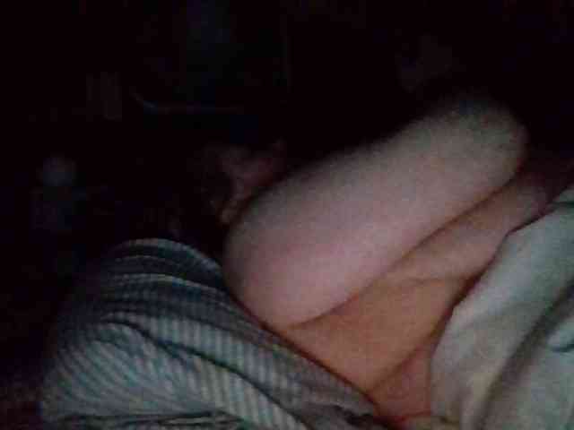 starlight1983 webcam