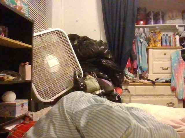 starlight1983 webcam