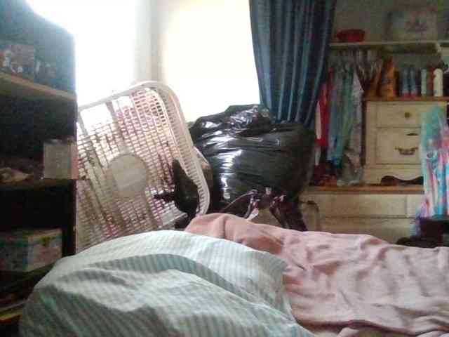 starlight1983 webcam