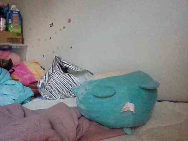 starlight1983 webcam