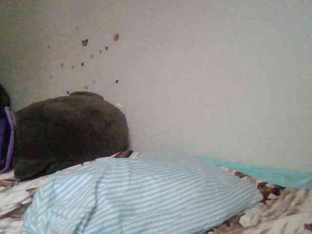 starlight1983 webcam