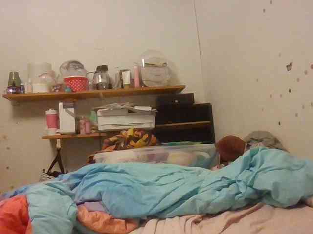 starlight1983 webcam