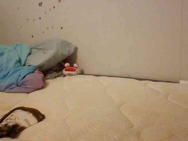 starlight1983 webcam