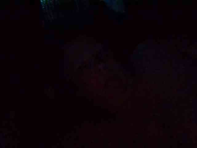 starlight1983 webcam