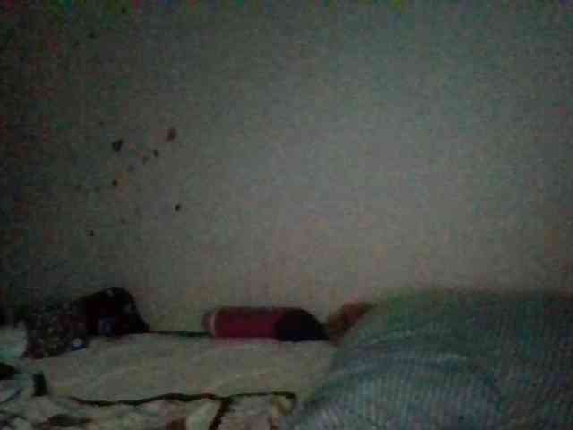 starlight1983 webcam