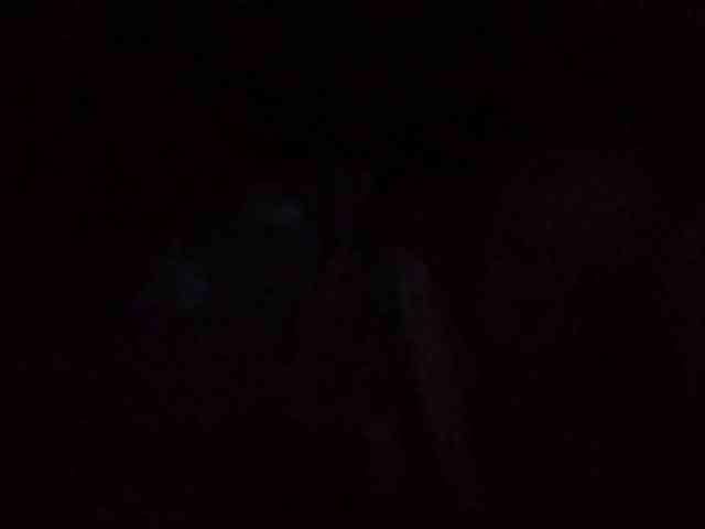 starlight1983 webcam