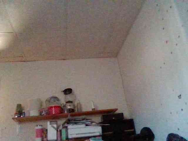 starlight1983 webcam