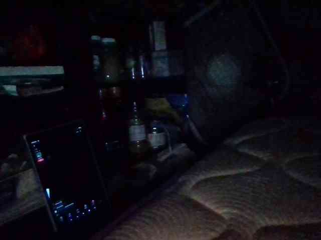 starlight1983 webcam