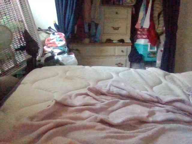 starlight1983 webcam