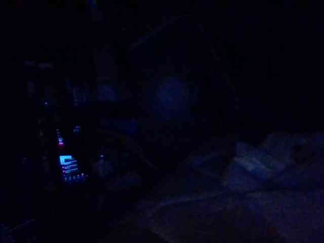starlight1983 webcam