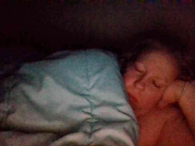 starlight1983 webcam