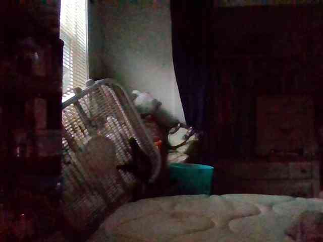 starlight1983 webcam