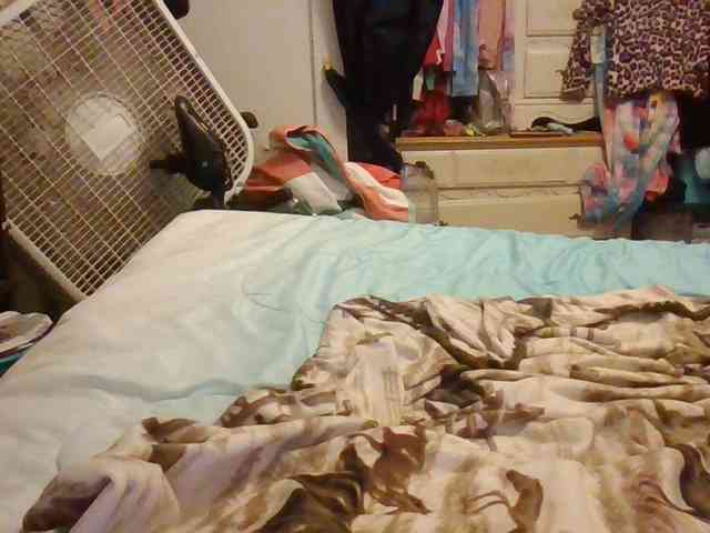 starlight1983 webcam