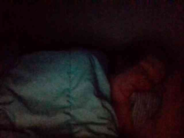 starlight1983 webcam