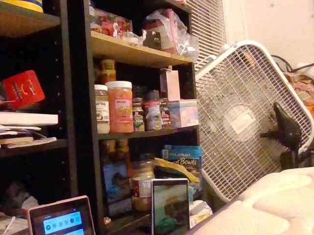 starlight1983 webcam