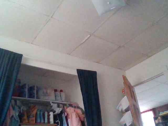 starlight1983 webcam