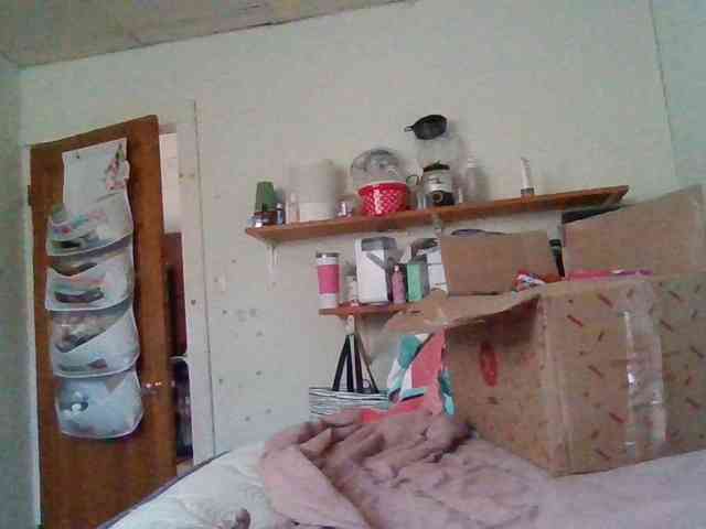 starlight1983 webcam