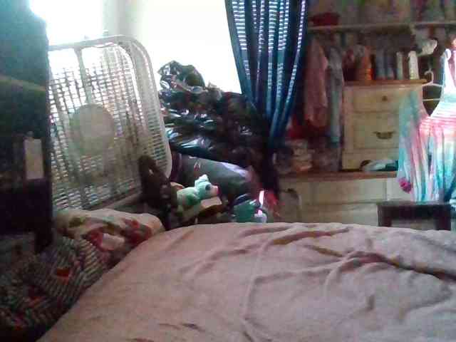 starlight1983 webcam