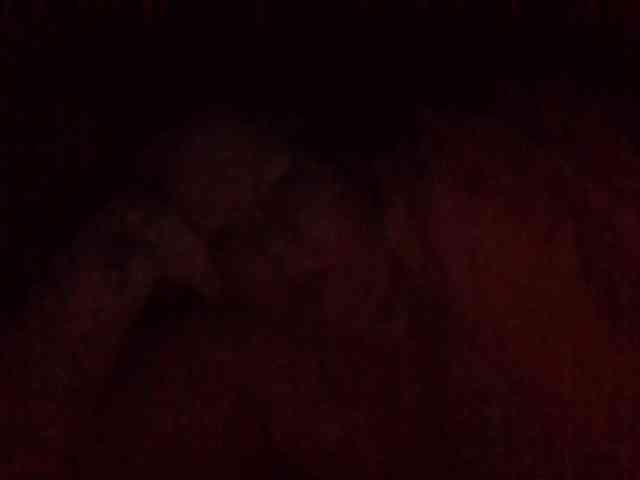 starlight1983 webcam