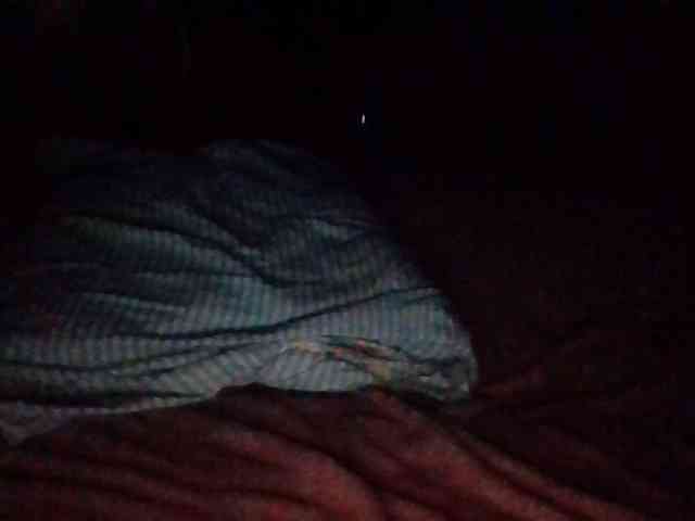 starlight1983 webcam