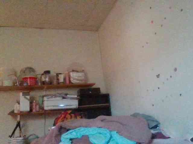 starlight1983 webcam