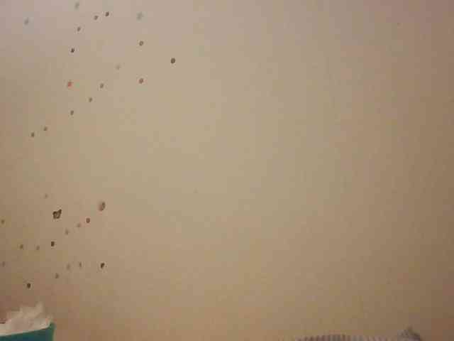 starlight1983 webcam