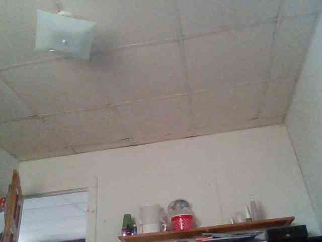 starlight1983 webcam