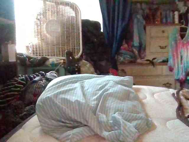 starlight1983 webcam