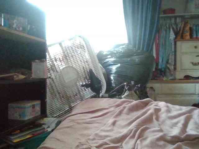 starlight1983 webcam