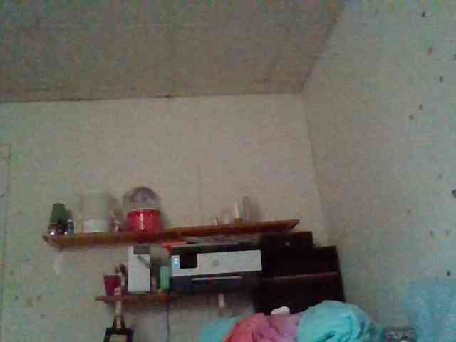 starlight1983 webcam