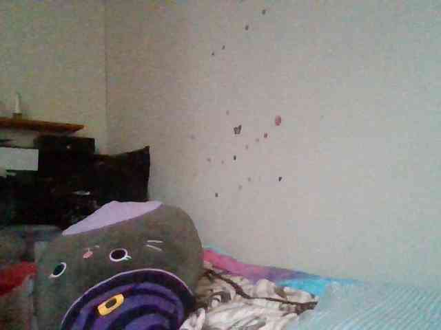 starlight1983 webcam