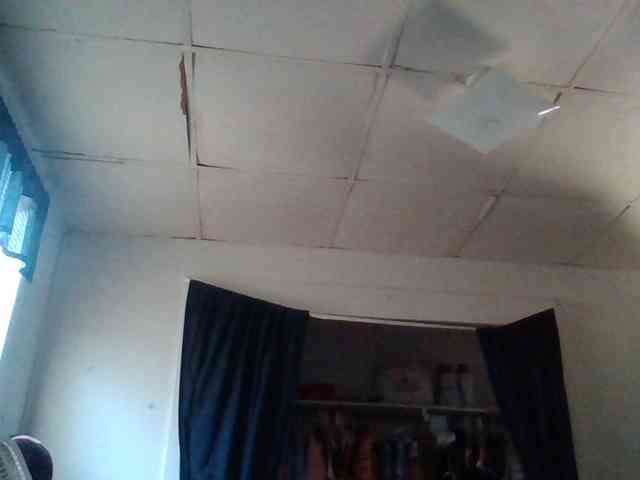 starlight1983 starlight1983