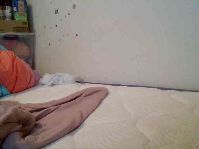 starlight1983 webcam