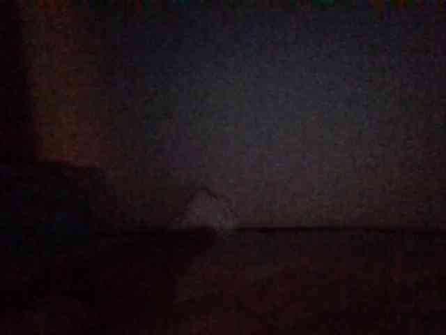 starlight1983 webcam
