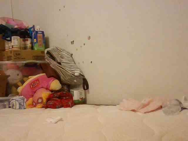 starlight1983 webcam