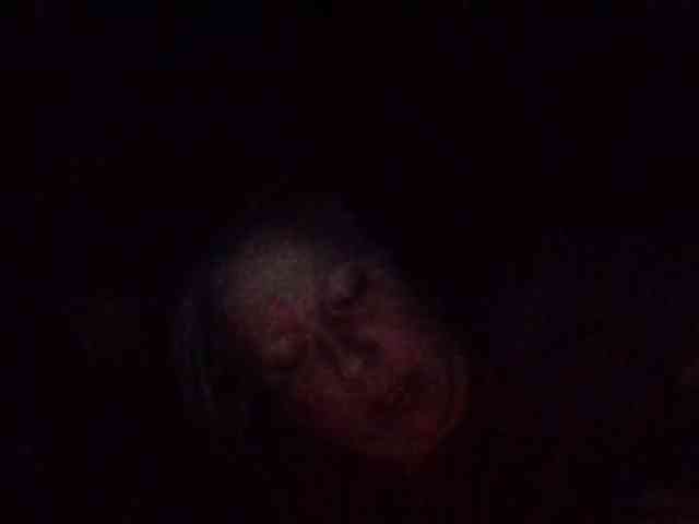 starlight1983 webcam