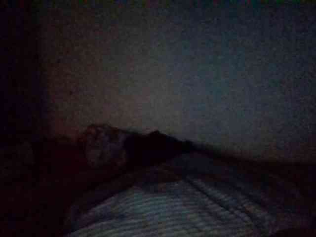 starlight1983 webcam