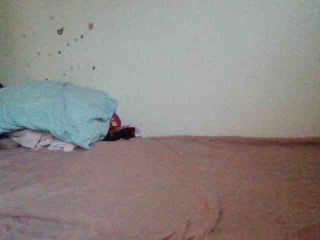 starlight1983 webcam