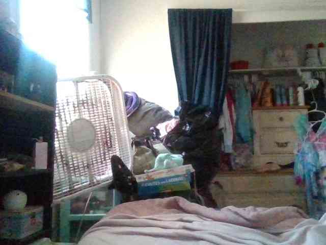 starlight1983's Sexcam