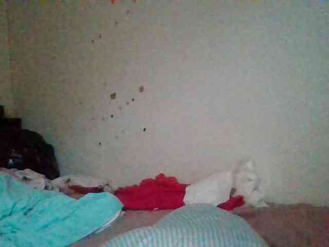 starlight1983 webcam