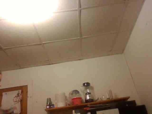 starlight1983 webcam