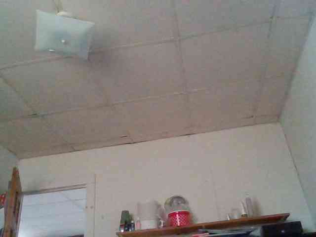 starlight1983 webcam