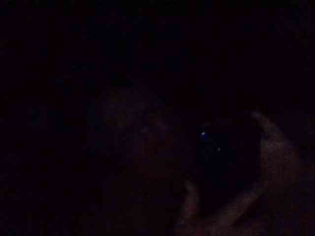 starlight1983 webcam