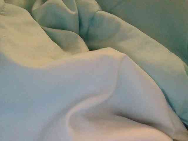 starlight1983 webcam