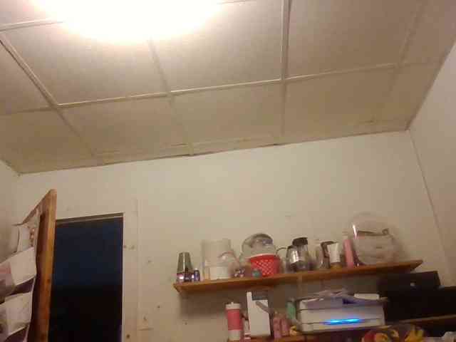 starlight1983 webcam